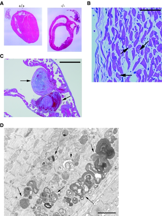 FIG. 6.