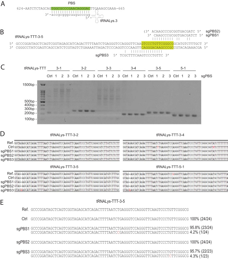 FIG 2