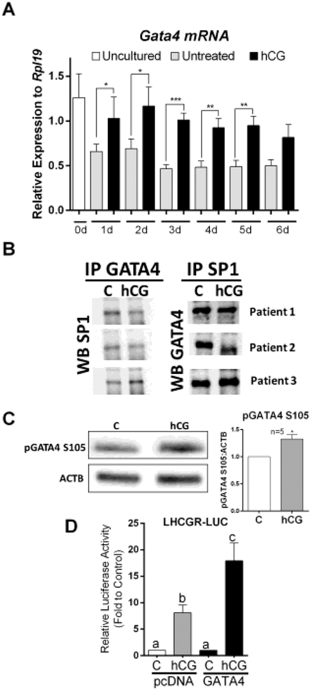 Figure 7: