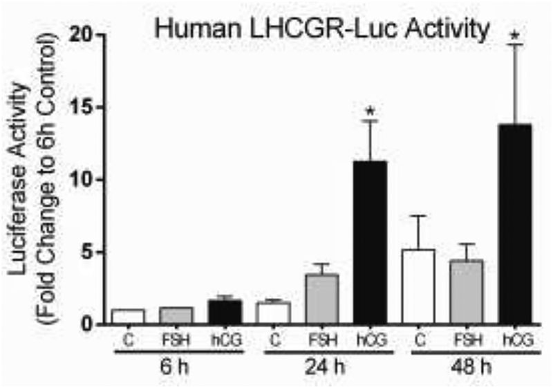 Figure 2: