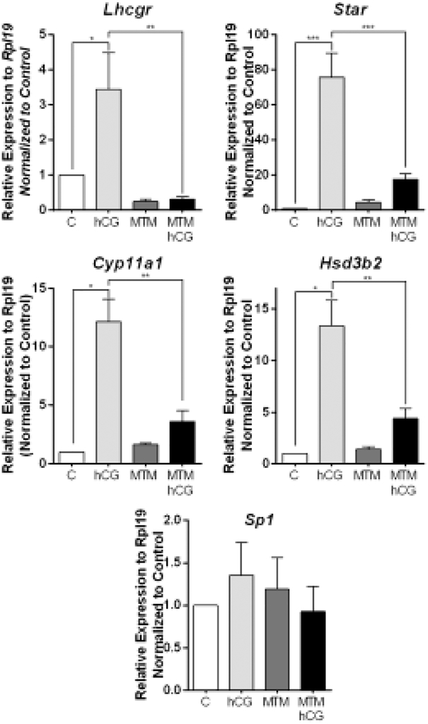 Figure 6: