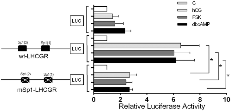 Figure 4: