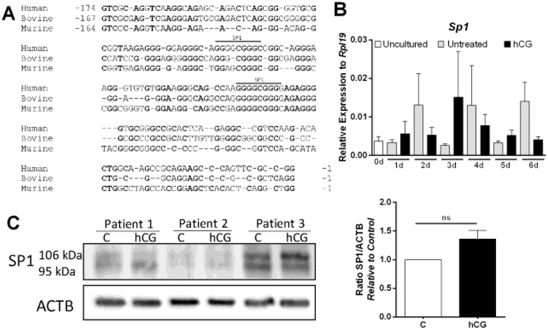 Figure 3: