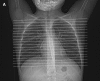 <b>Figure 3.</b>