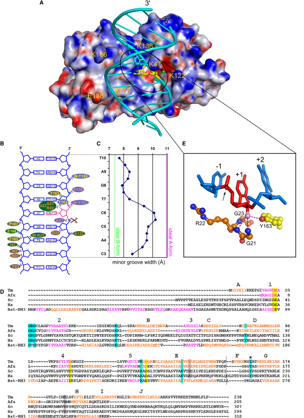 Figure 4