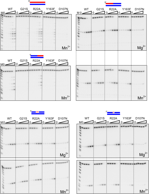 Figure 7