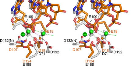 Figure 6