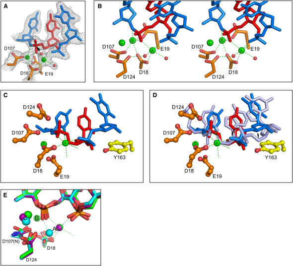 Figure 5