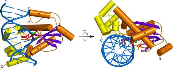 Figure 3