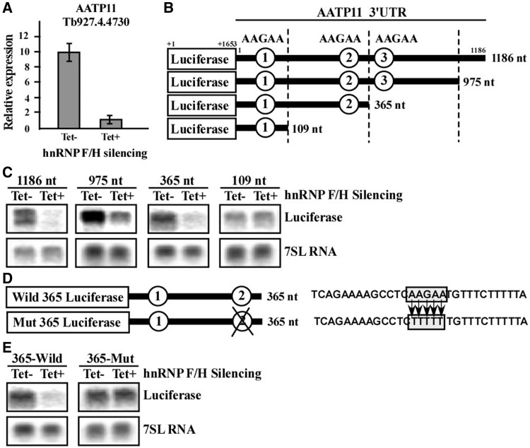 Figure 6.