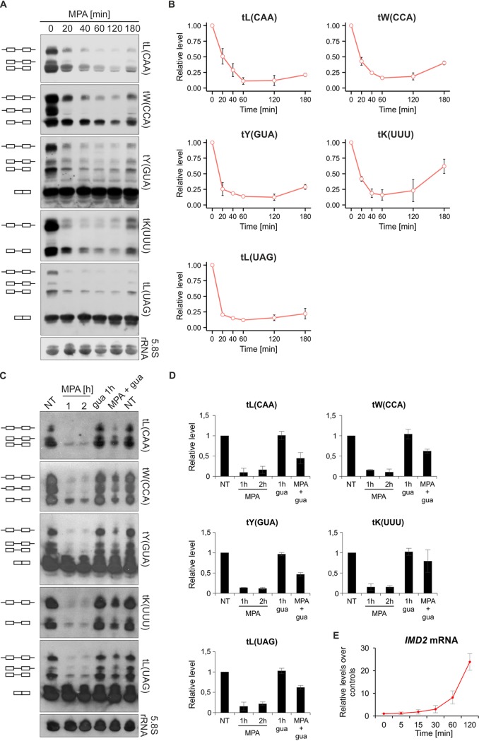 FIG 2