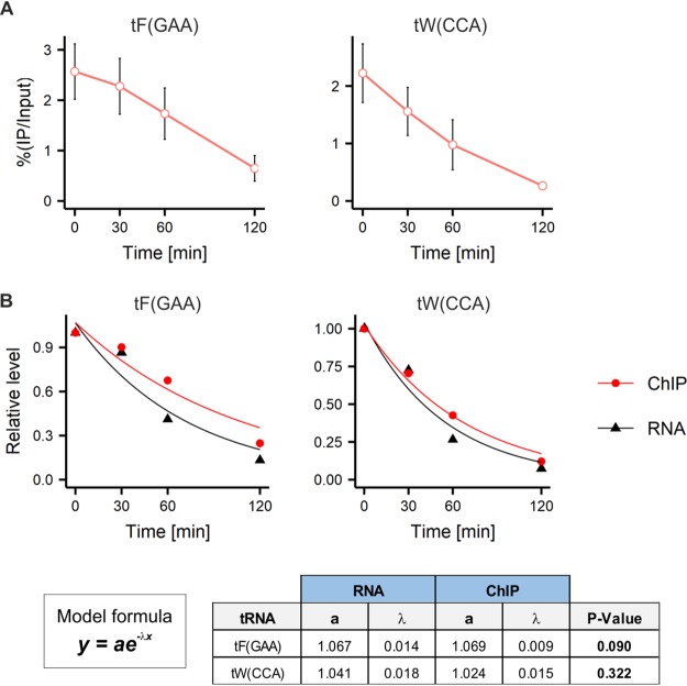 FIG 10