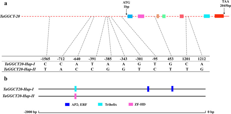 Fig. 6