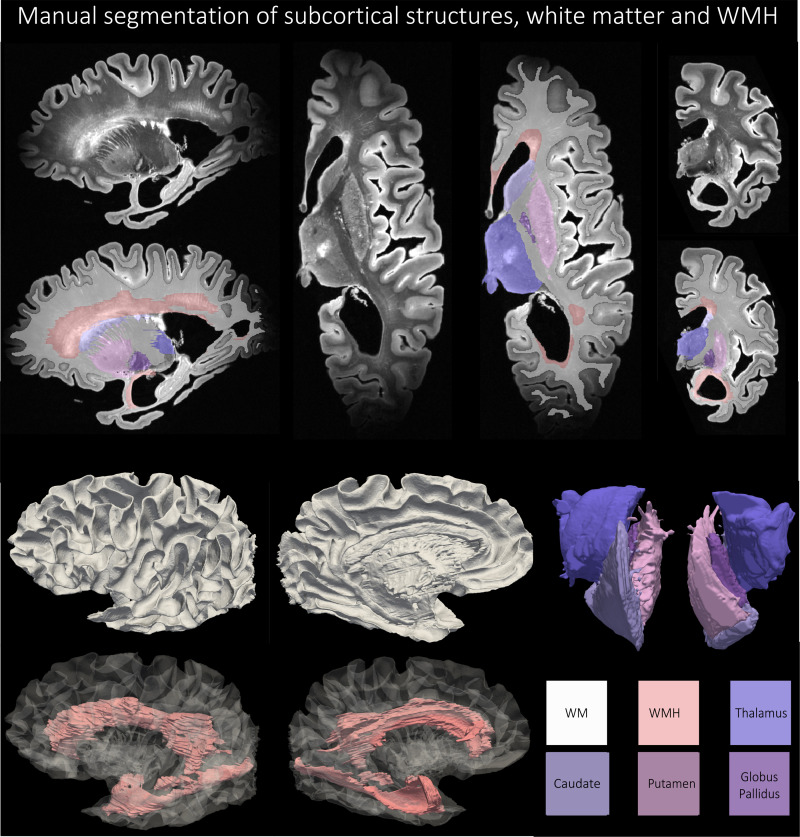 Fig. 6.