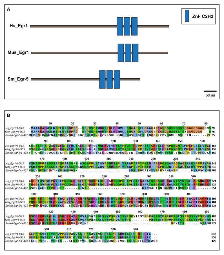 Figure 5—figure supplement 1.