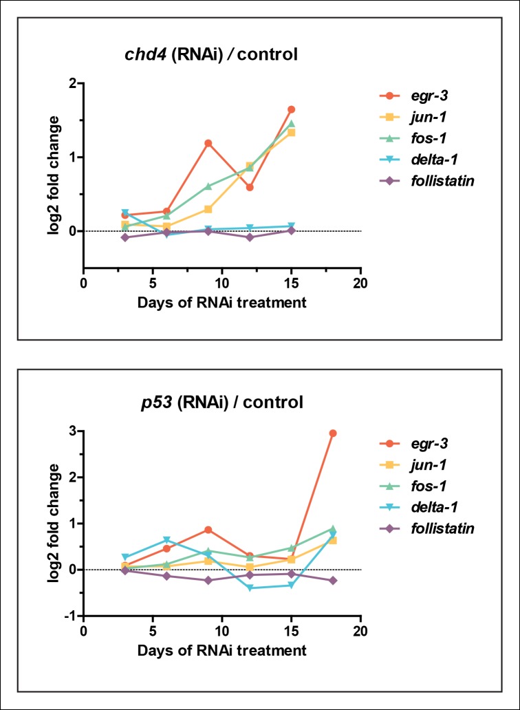 Figure 7—figure supplement 1.