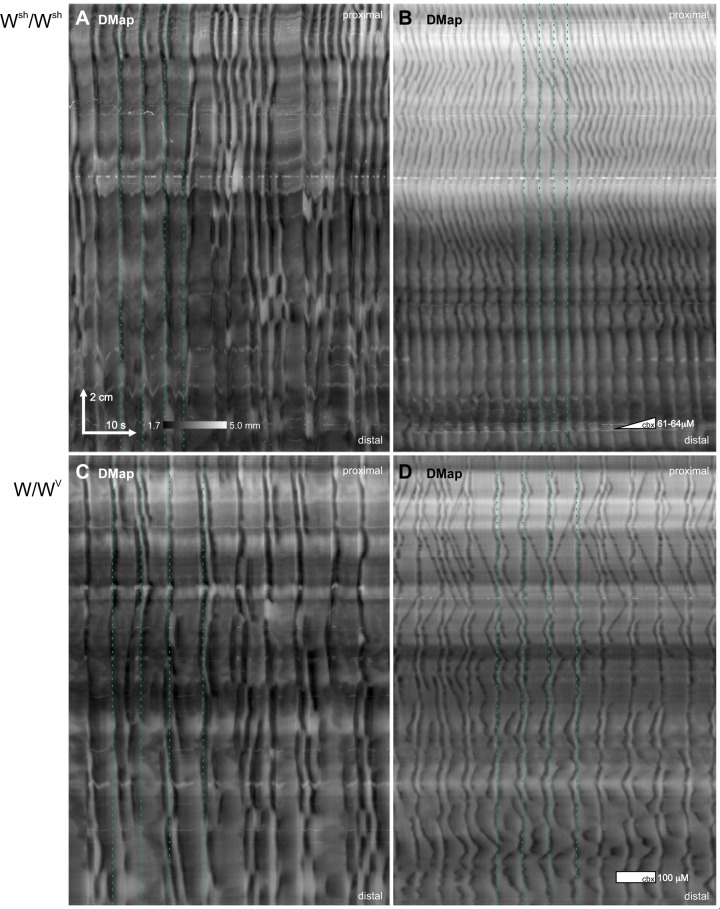 Fig. 7.