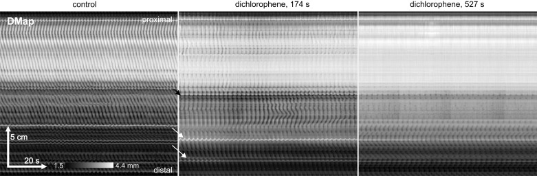 Fig. 9.