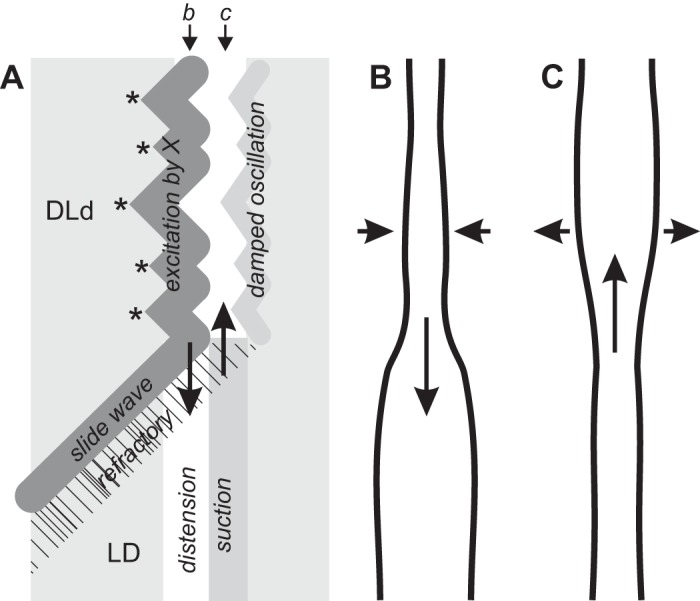 Fig. 12.