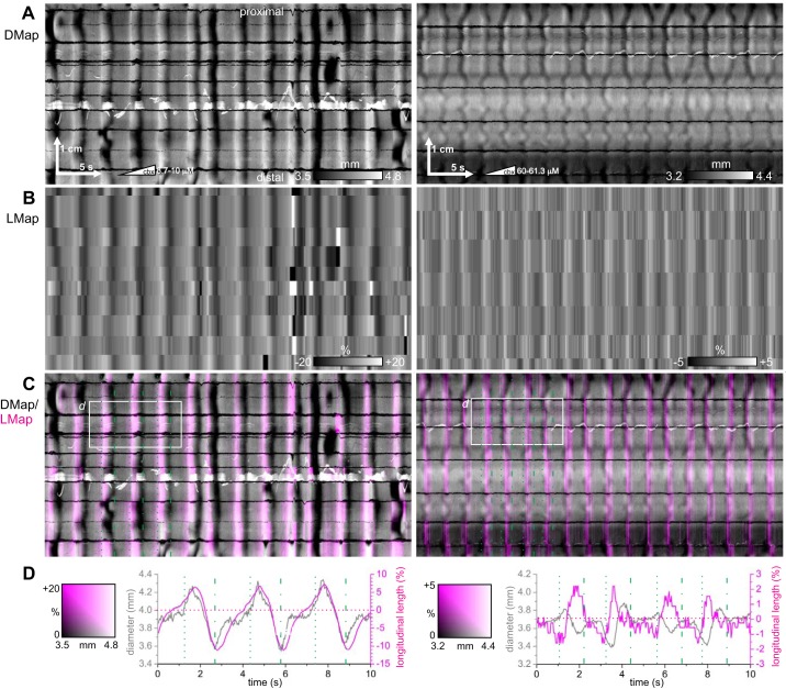 Fig. 10.