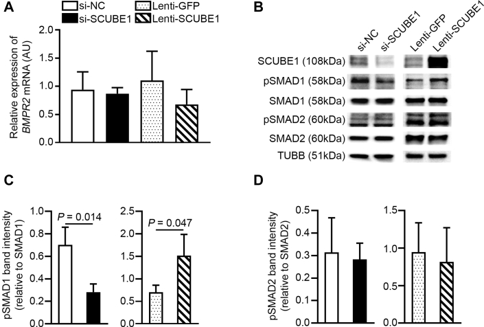 Figure 4