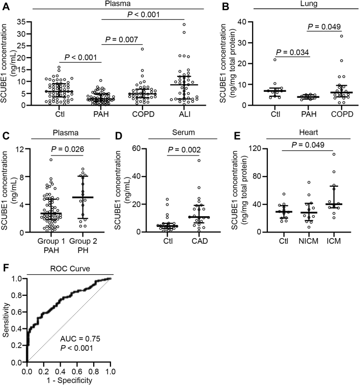 Figure 6