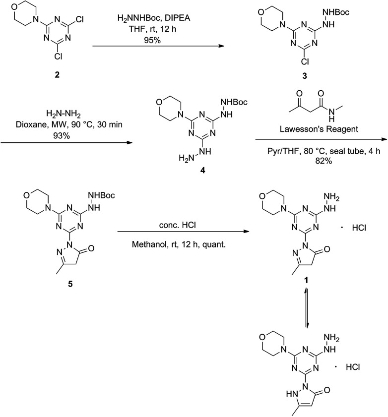 Scheme 1