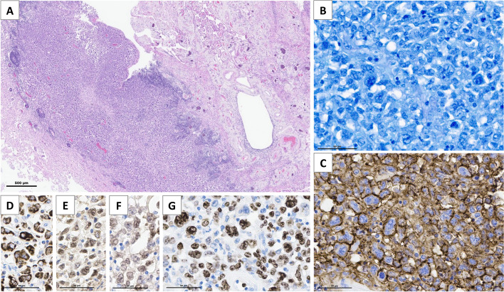 Fig. 2