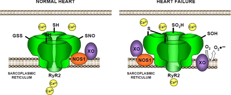 FIGURE 7.