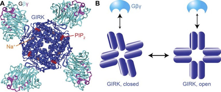 Figure 5.