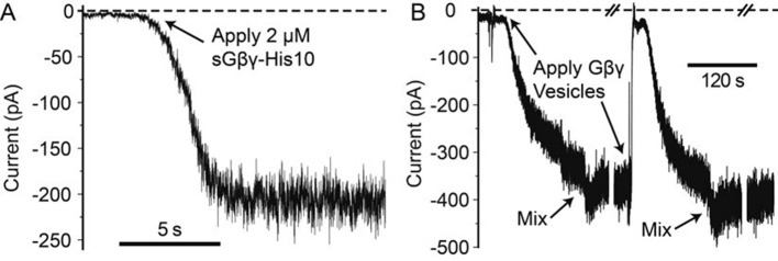 Figure 1—figure supplement 2.