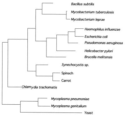 FIG. 10