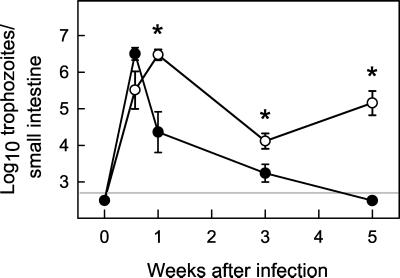 FIG. 6.