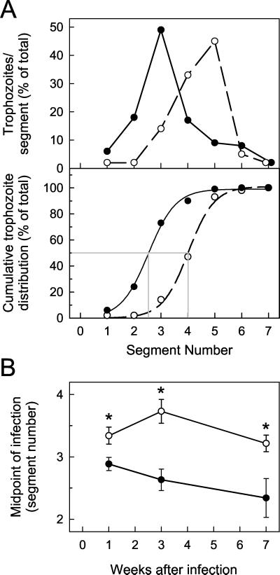 FIG. 5.