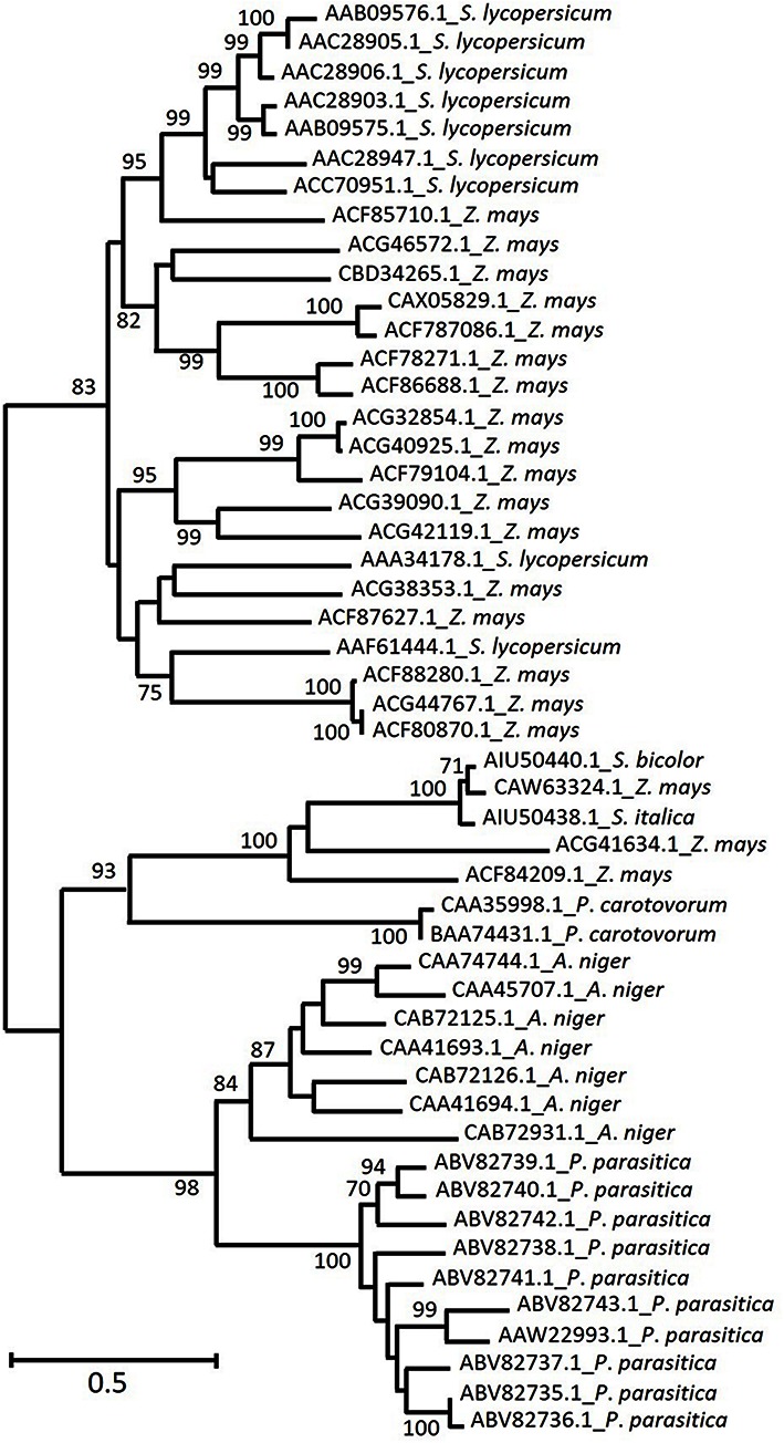 FIGURE 2