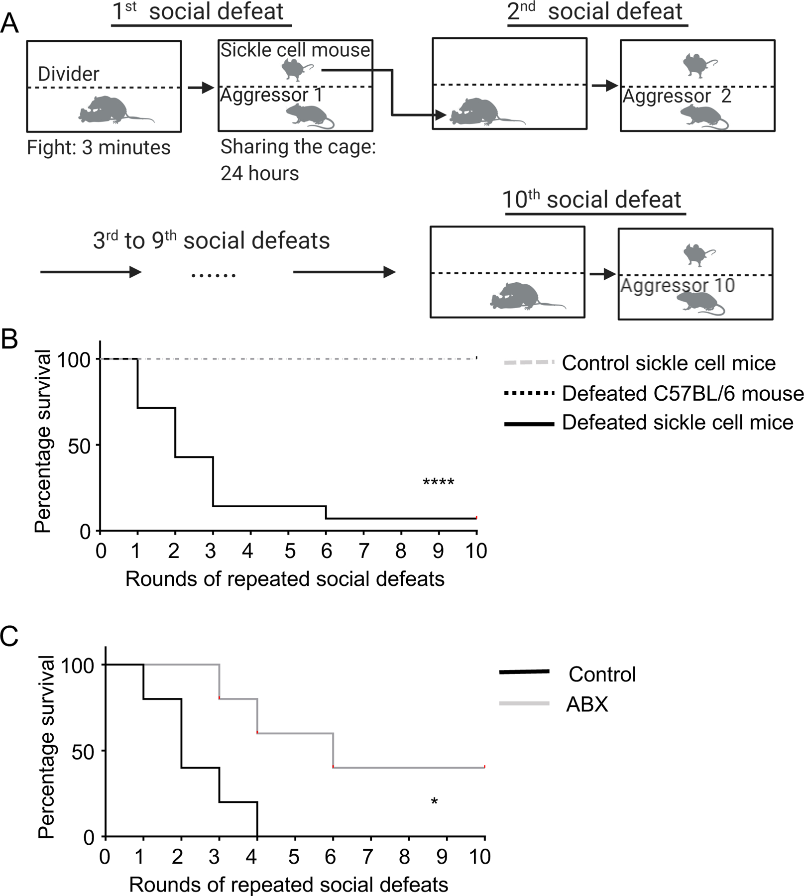 Figure 7.