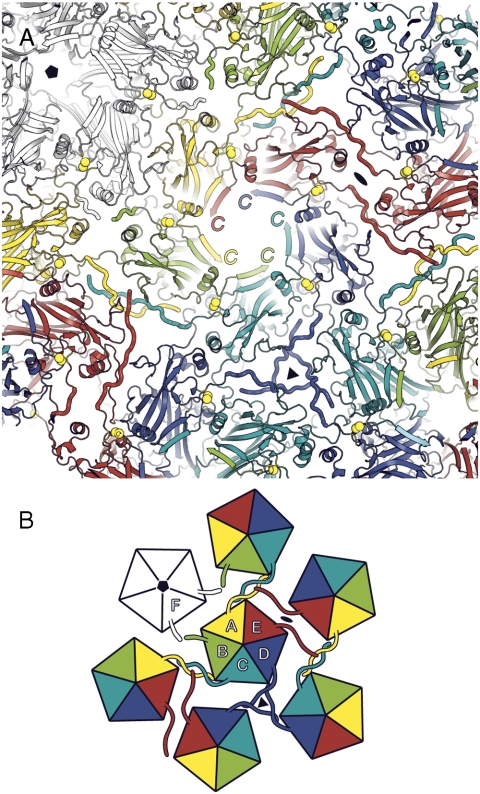 Fig. 5.