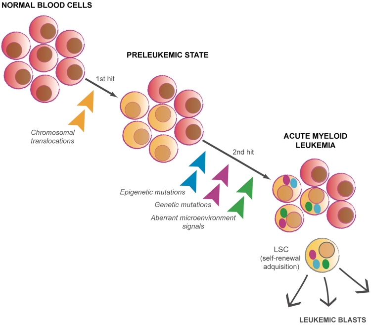 Figure 3: