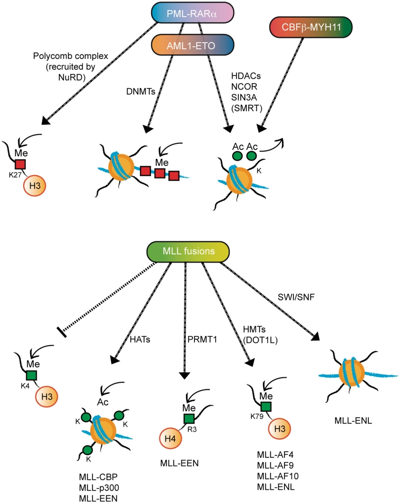 Figure 2: