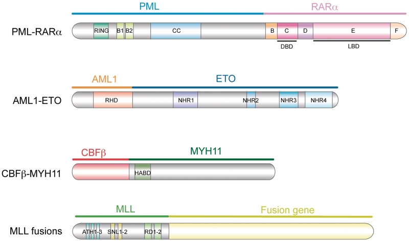 Figure 1: