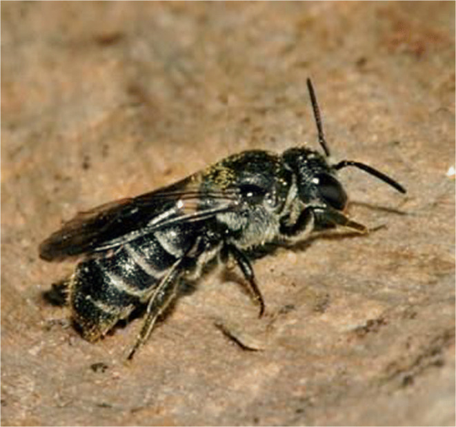 Figure 3.