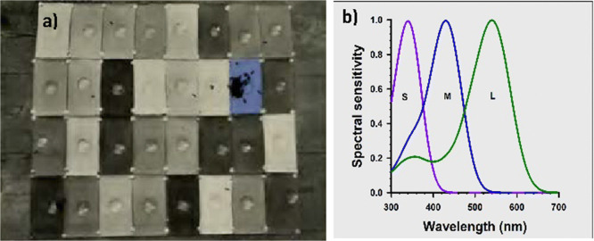Figure 4.