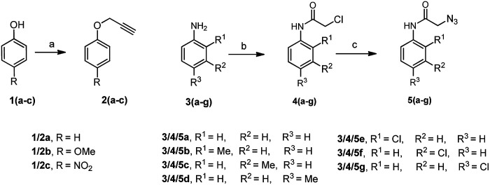 Scheme 1