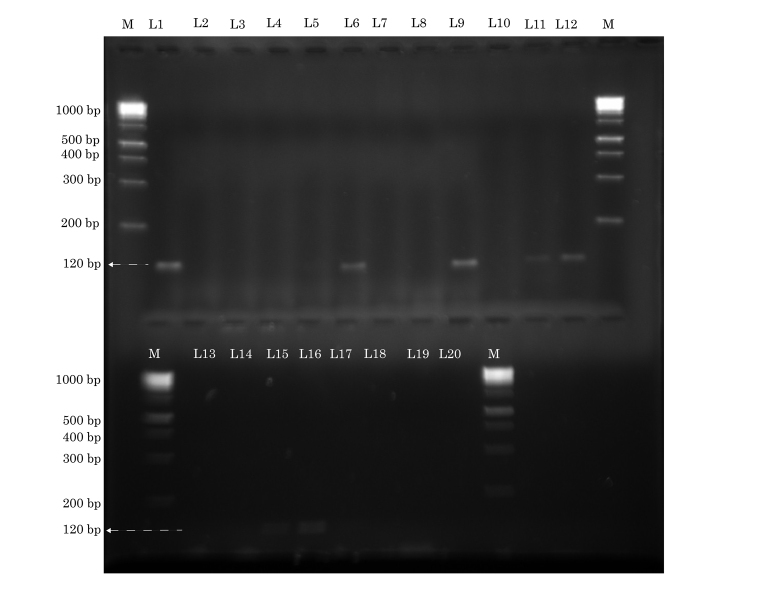 [Table/Fig-3]: