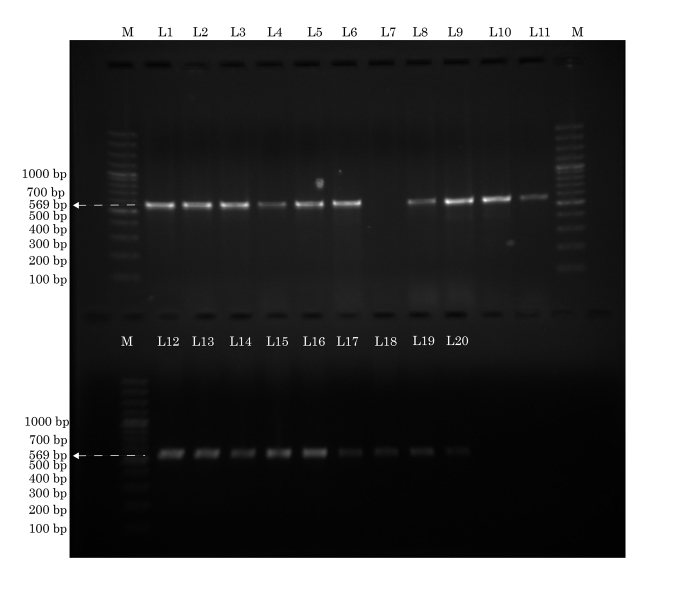 [Table/Fig-6]: