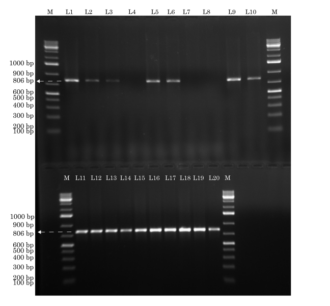 [Table/Fig-1]: