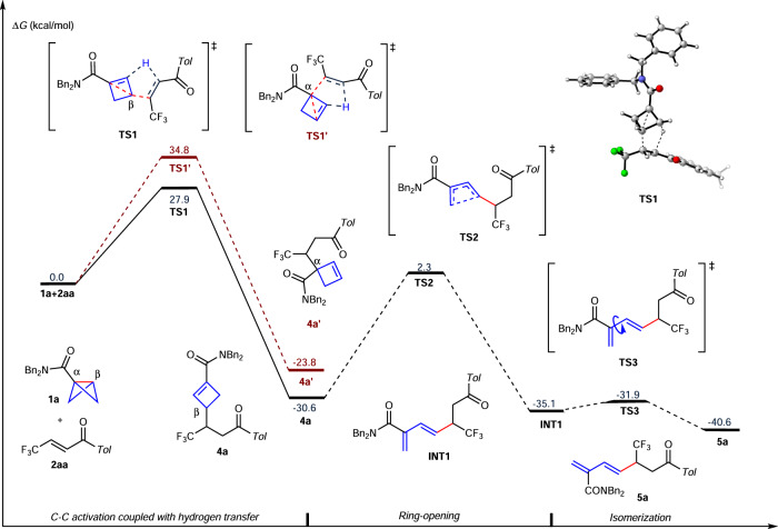 Fig. 8