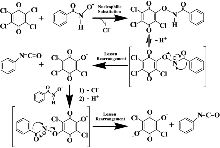 Scheme 1.