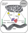 Fig. 9