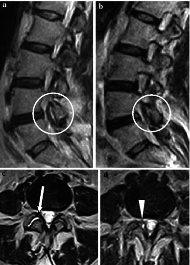 Fig. 9